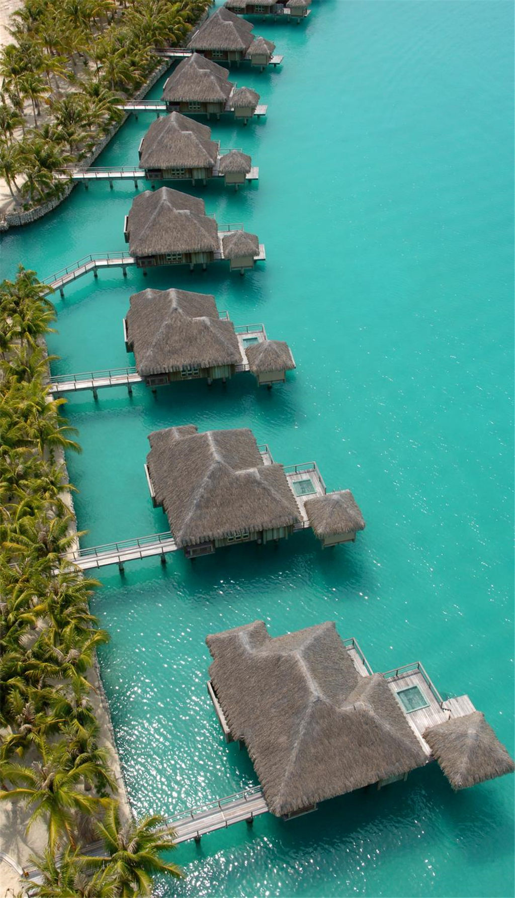 14)The St. Regis Bora Bora ResortOver water whirlpool villas Ĕz.jpg