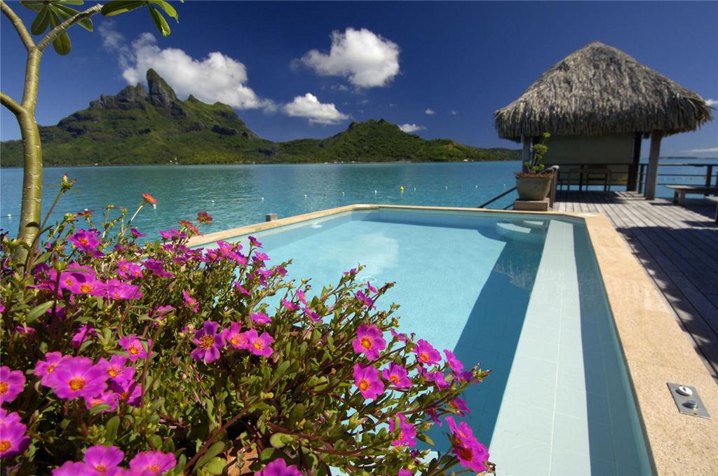30)The St. Regis Bora Bora ResortRoyal 2 bedroom over water pool Ĕz.jpg